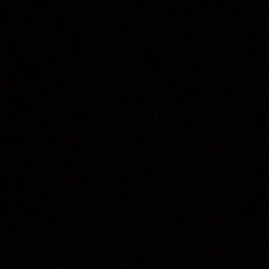 Meet your Posher, Betty